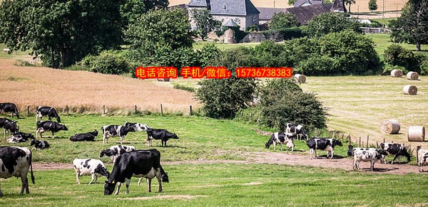 工程现场