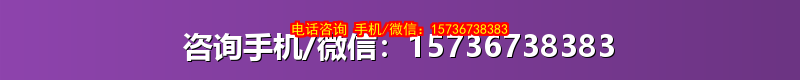 咨询手机/微信：15736738383